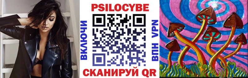 где можно купить   Тихвин  Псилоцибиновые грибы мухоморы 