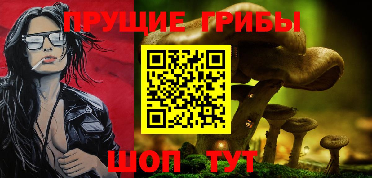 Тихвин  Псилоцибиновые грибы MAGIC MUSHROOMS  Вход с VPN 